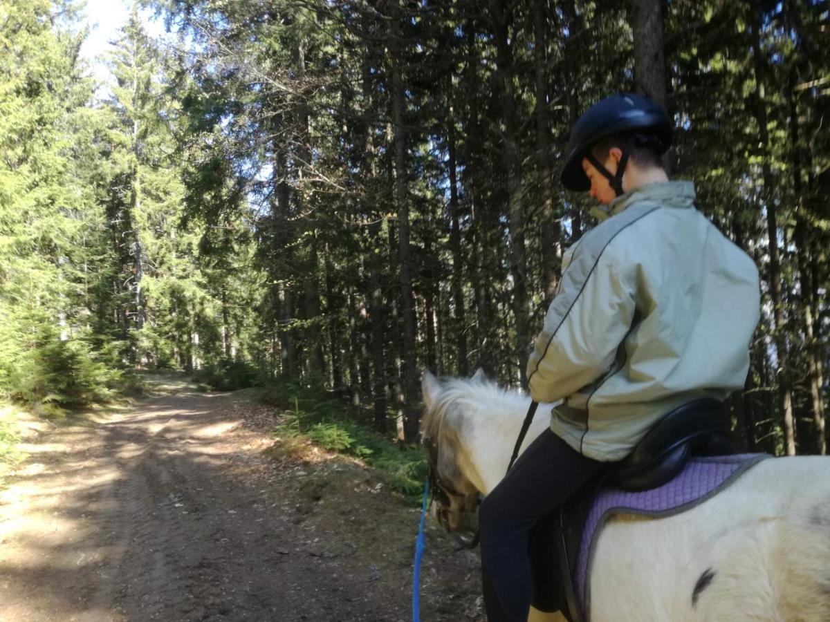 Gasthof Zum Kramer Gurk Bagian luar foto